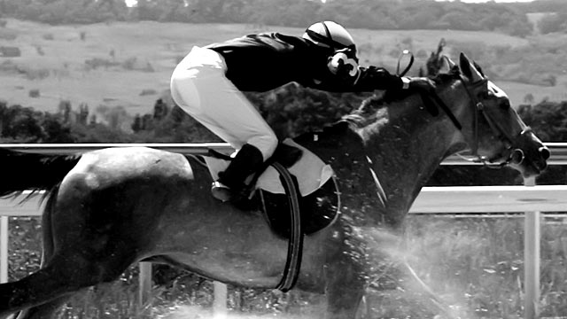 online-horse-racing.jpg