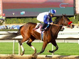 venetian harbor horse
