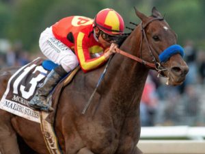 Saudi Cup Betting Odds McKinzie: Horse Racing Profile
