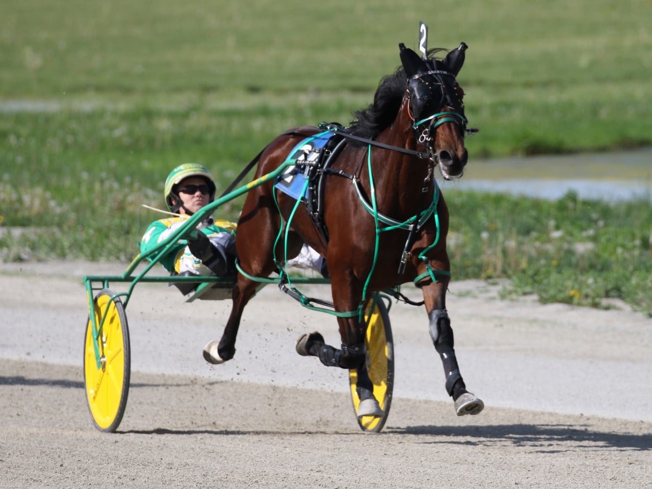 Harness Racing | Horse Racing News