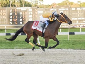 king guillermo-TampaBayDerby