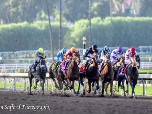 High Hopes for Team Tiz the Law in Florida Derby