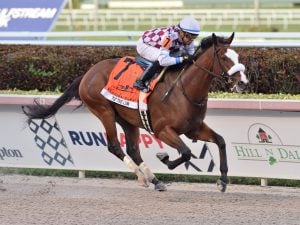 Tiz the Law wins the Grade 1 Florida Derby on 3/28/20 at Gulfstream Park. Manuel Franco up.