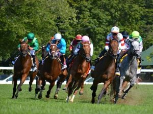 Horse Racing - USR Photo