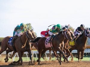 Horse Racing - USR Photo