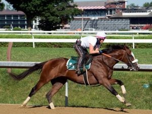 Tiz the Law at Saratoga