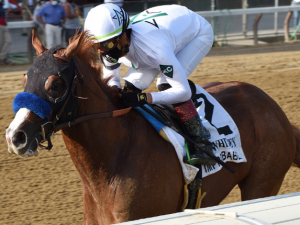 Improbable Whitney Stakes - Photo Courtesy of Chelsea Durand/ NYRA