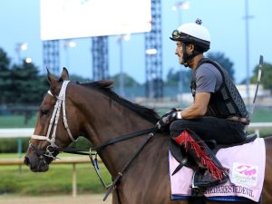 Shedaresthedevil - Horse