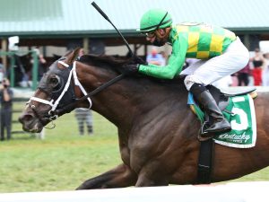 Arklow Horse Kentucky Downs