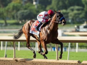 Corniche - usracing.com