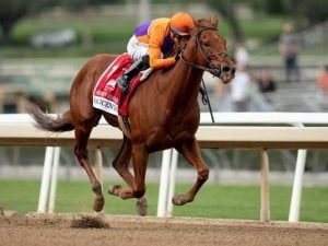 Forbidden Kingdom - usracing.com