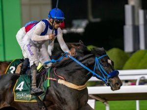 Wigberto Ramos - usracing.com