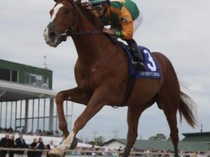 Classic Causeway - usracing.com