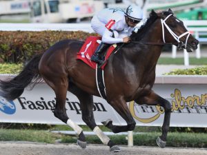 Emmanuel - usracing.com