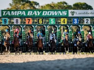 Tampa Bay Derby - usracing.com