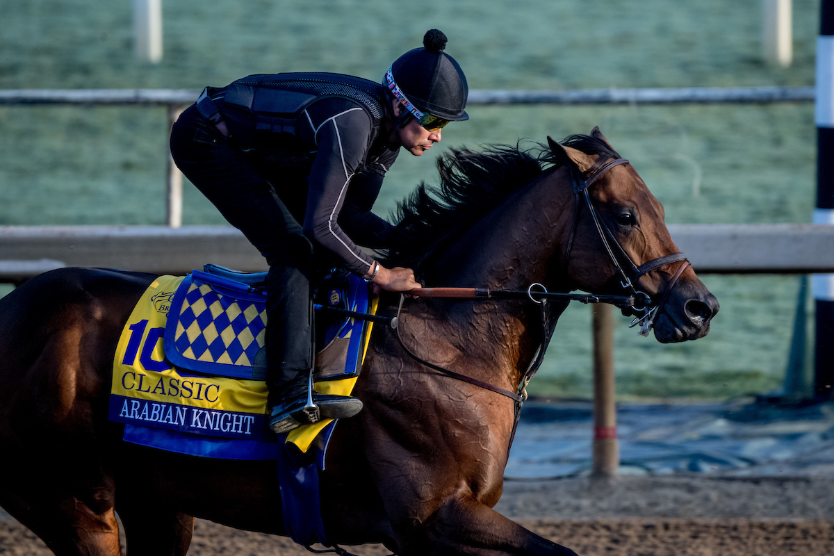 Breeders’ Cup Classic Contenders: ARABIAN KNIGHT 🏇 | Horse Racing News