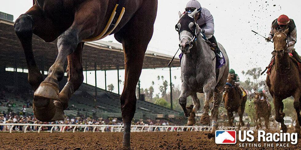 Horse Racing Sites Horse Racing Sites