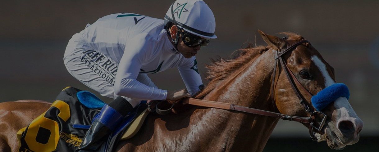 Preakness