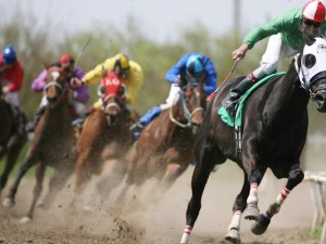 Horse Race of the WEek