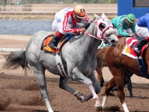 New Mexican Spring Futurity