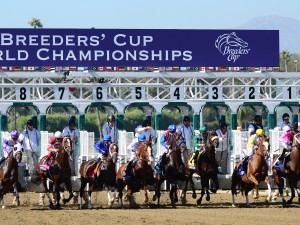How to Bet on the Breeders' up