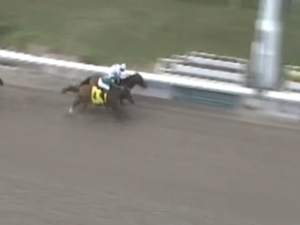 Majestic Harbor (inside) holds on to win the Mineshaft Handicap Feb. 20.