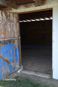 Some of the original blue paint is still visible on Secretariat's foaling shed (photo by Tom Ferry).