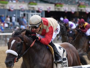 Preservationist - Suburban Stakes