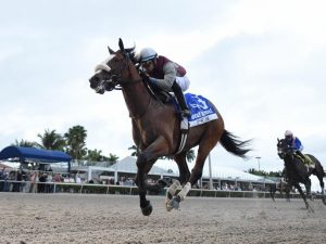 Kentucky Derby Betting Preps: Holy Bull Stakes