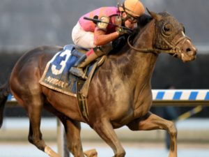 Kentucky Derby Preparation Races: Withers Stakes