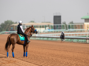 Saudi Cup Horse Race Betting Odds: World's Richest Equine Event
