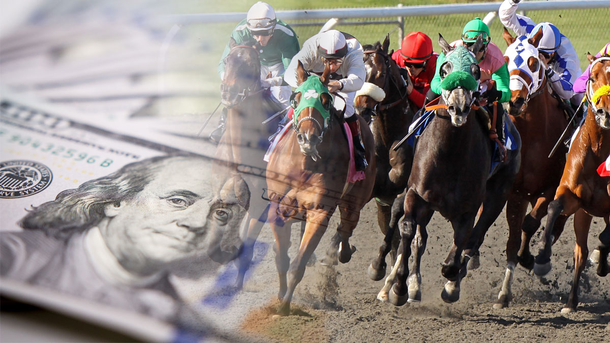 horse betting bankroll tips
