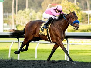 Kentucky Derby Horses: 347 Nominated to Triple Crown Races