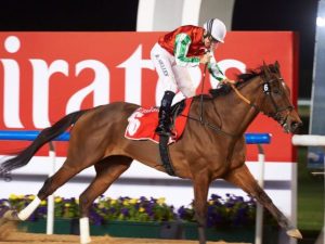 Saudi Cup Betting Odds North America: Horse Racing Profile