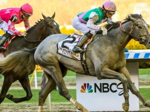 Saudi Cup Betting Odds Tacitus: Horse Racing Profile