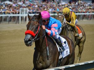 Oaklawn Park Handicapping: Best Live Racing Available