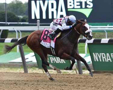Tiz the Law at Belmont Stakes 2020