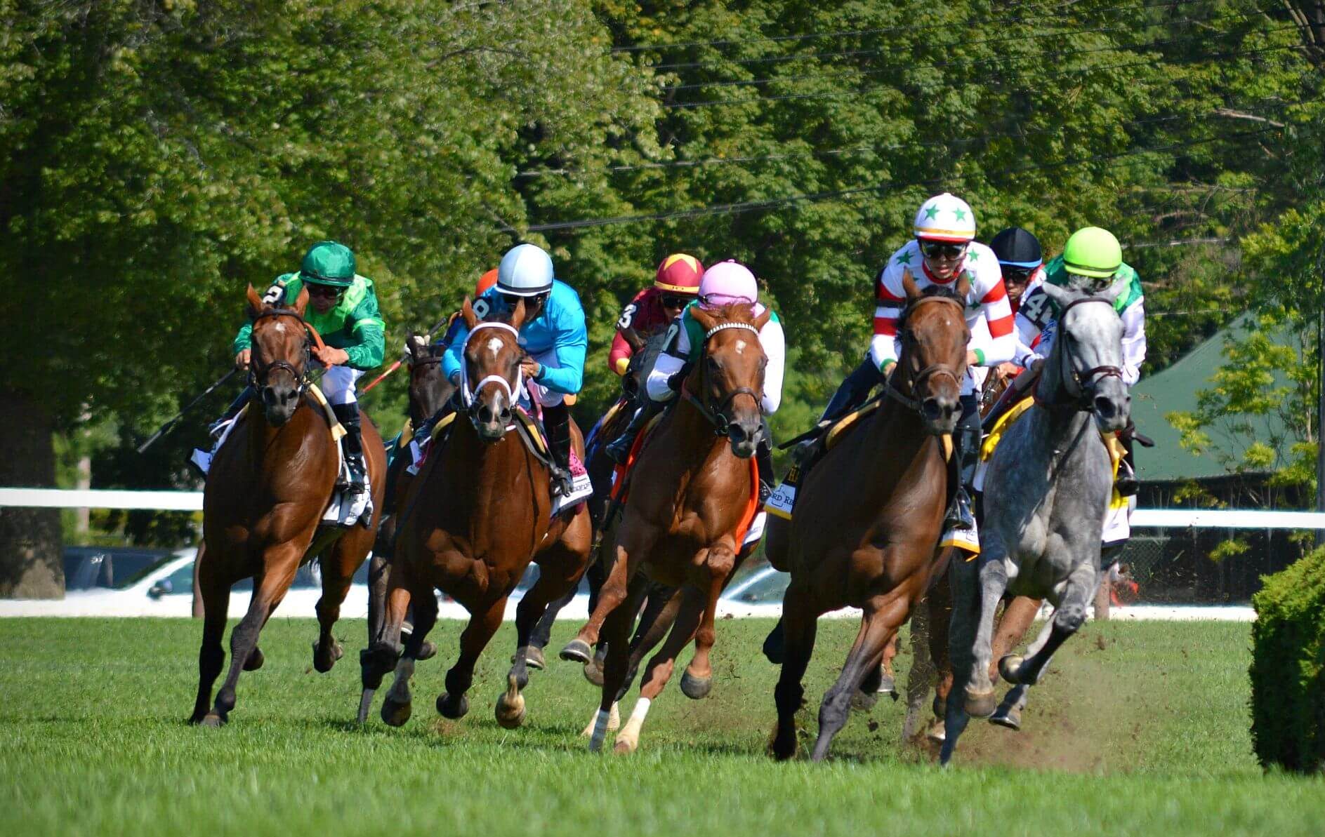 Horse Betting - 6 Essential Tips for Handicapping | Horse Racing News