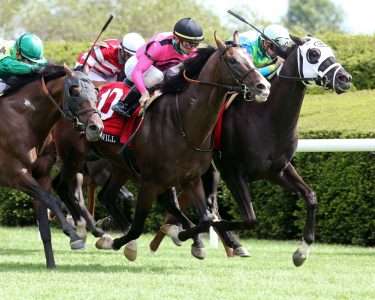 War of Will - Courtesy of Keeneland