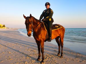 Deputy Maverick | Horse Racing News