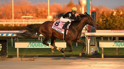 True Timber wins the 2020 Cigar Mile Handicap at Aqueduct- Photo courtesy of Coglianese Photography - BloodHorse