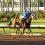 The Lineup: State-breds Top Cards at Gulfstream, Santa Anita