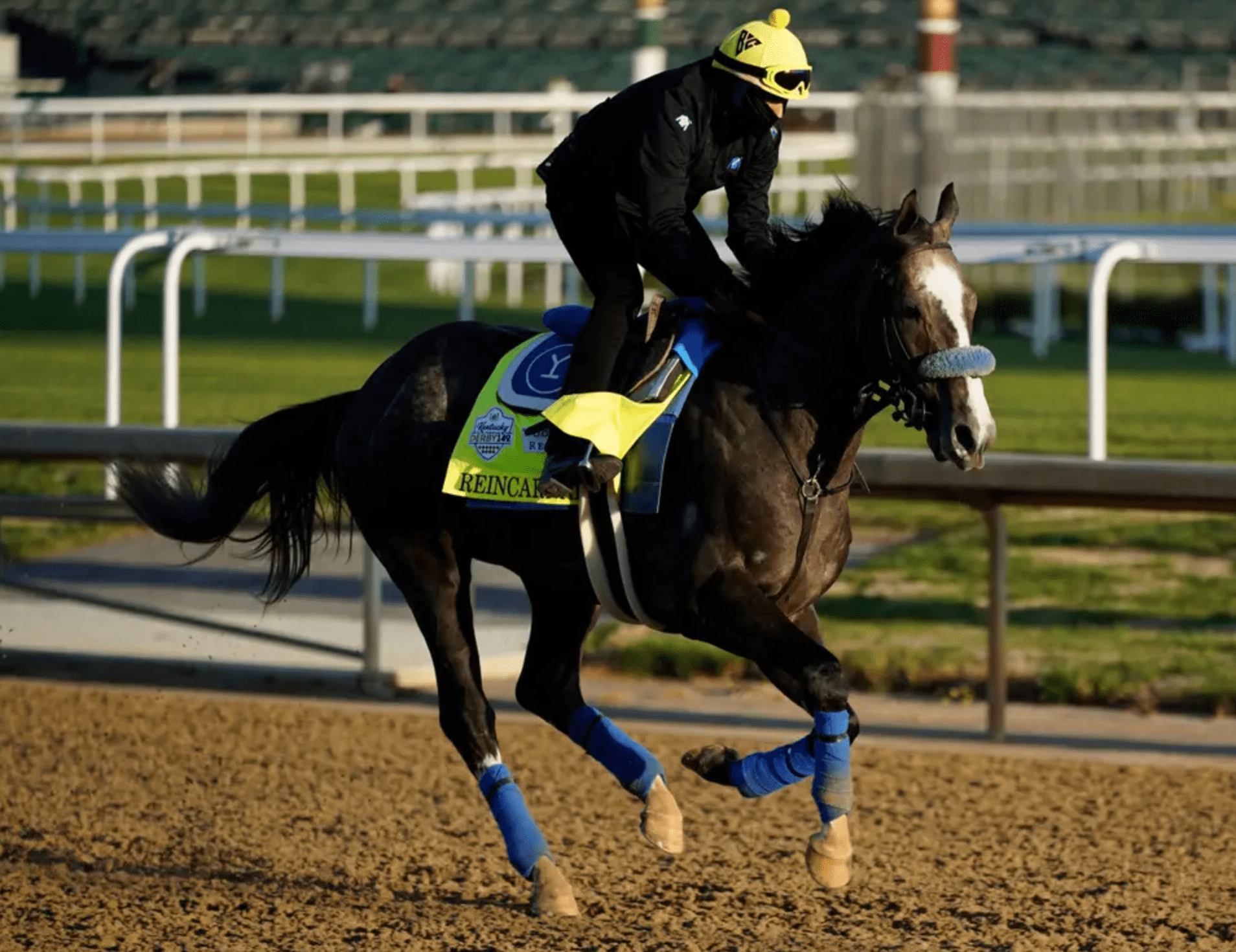 Reincarnate, Kentucky Derby Contender, Bypasses Belmont Stakes in Favor of Travers Stakes