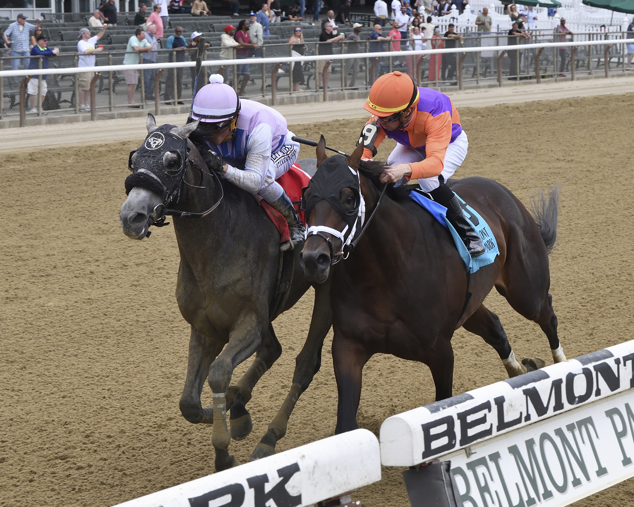 2023 Belmont Stakes Taking Shape Horse Racing News