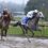 Gate-to-Wire in the Slop: Saudi Crown Wins Pennsylvania Derby; Ceiling Crusher Takes Cotillion