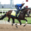 Catching Freedom a Go for the Preakness Stakes
