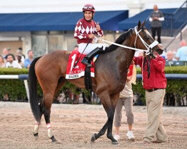 Hades wins the 2024 Holy Bull Stakes at Gulfstream
