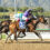 Stronghold to Run for the Roses After Santa Anita Derby Win