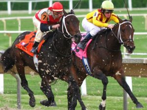Horse Racing Handicapping: Tips You Need To Know