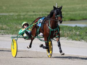 Harness Racing History: First Pacing Mare Wins Horse of the Year